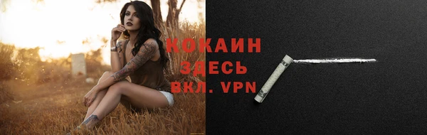 крисы Михайлов