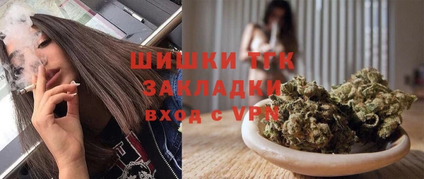 гашик Михайловск