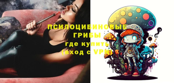 гашик Михайловск