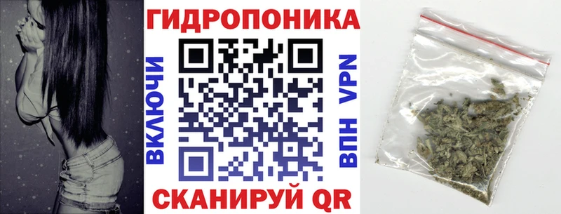 Конопля сатива  Скопин 